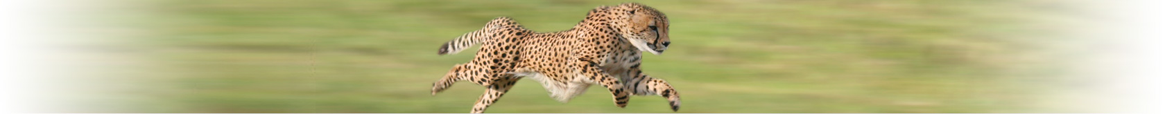 Accelerate not Hesitate